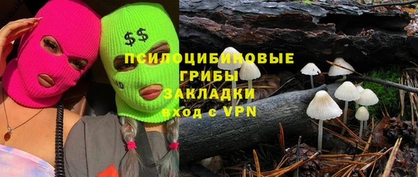 spice Медногорск